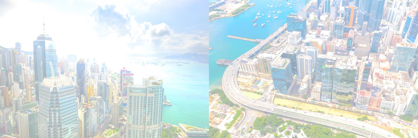 新界九龍香港IT